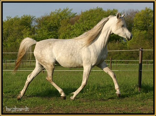 Wanannah, M&auml;rz 2004