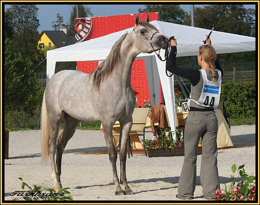 Casino Cup Baden 2007