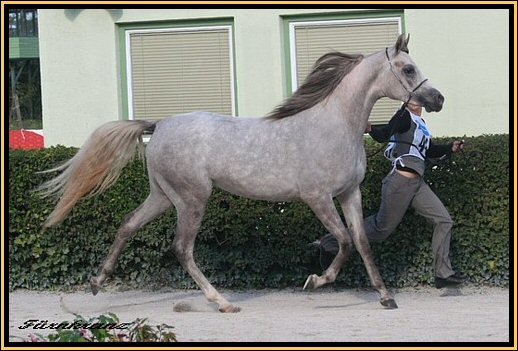 Casino Cup Baden 2007